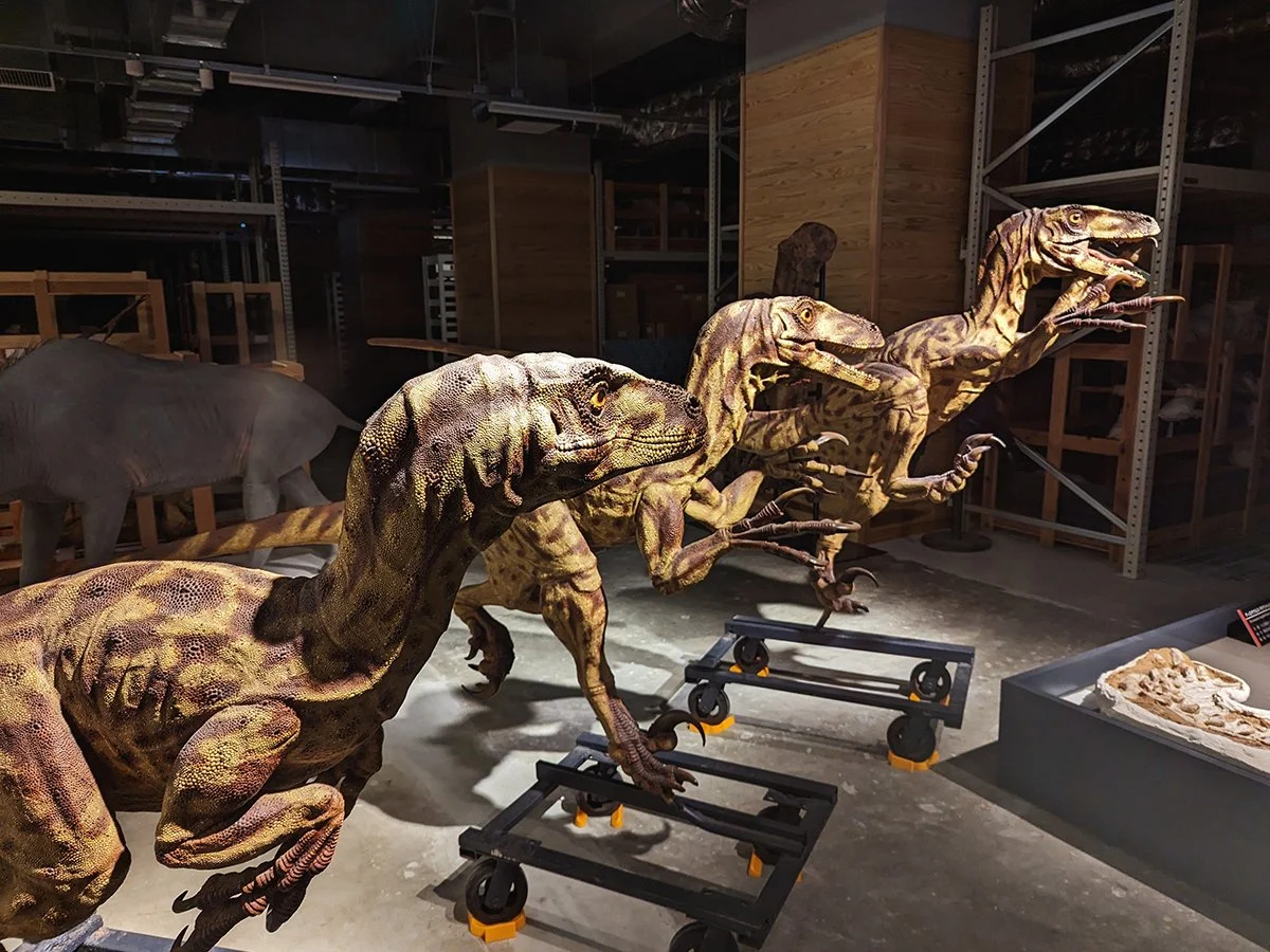 The Updated Fukui Prefectural Dinosaur Museum — Danny With Love